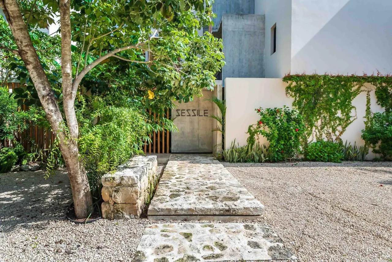 Sessile Tulum By The Spot Rentals