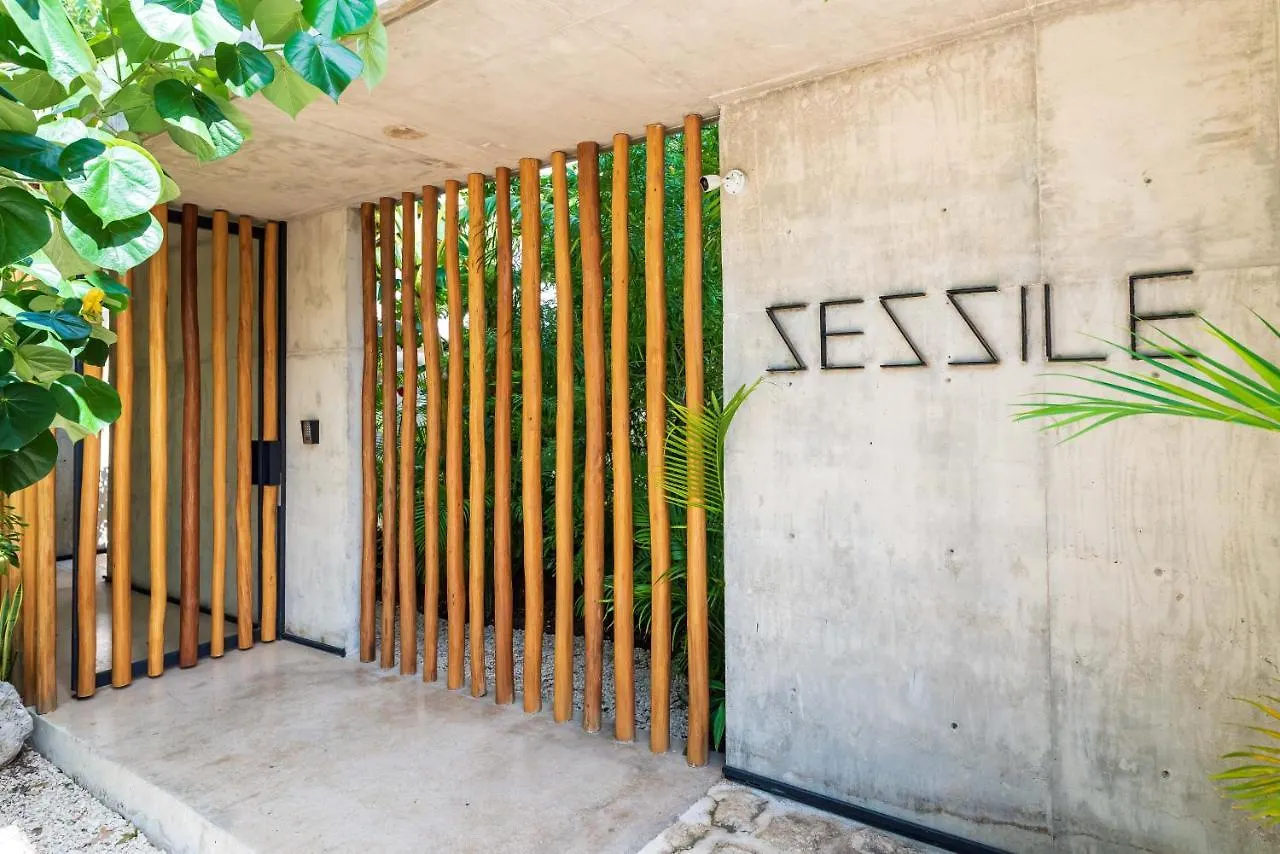 Apartament Sessile Tulum By The Spot Rentals