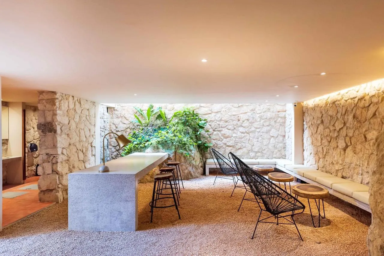 Sessile Tulum By The Spot Rentals Meksyk